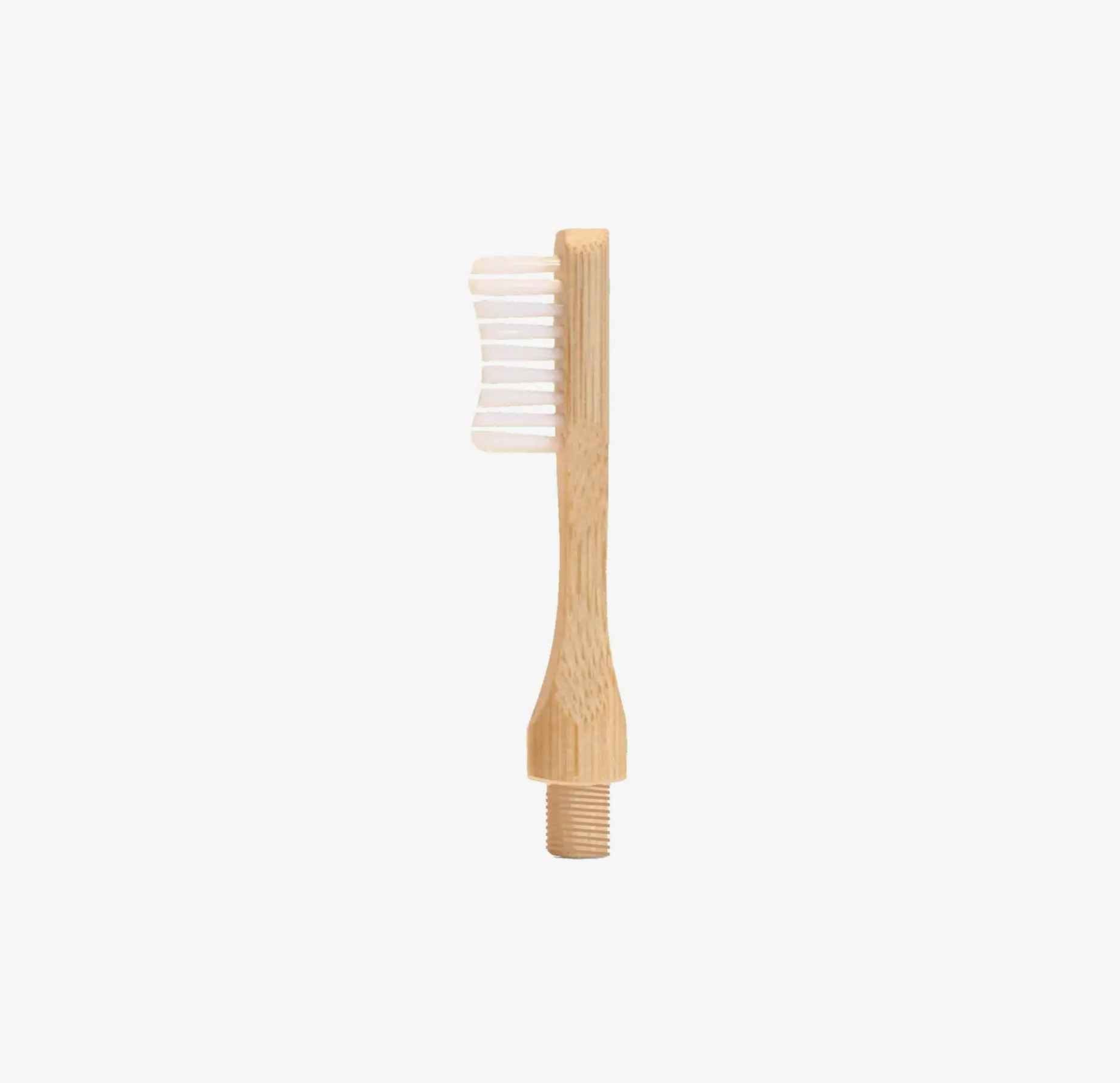 Lot de 2 têtes de brosse à dent interchangeables - Souples